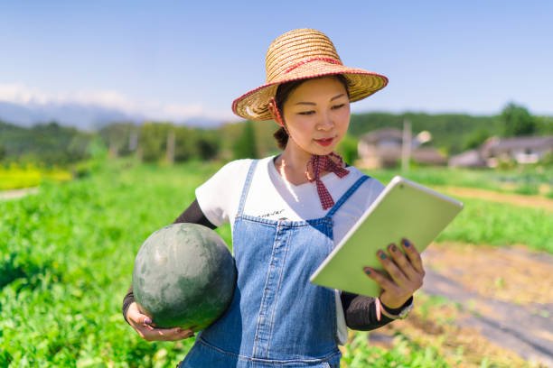 A young woman on a farm is using a digital tablet to check the quality control of crops.